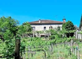 Quinta Agrícola