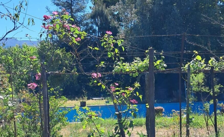 Quinta Agrícola Piscina