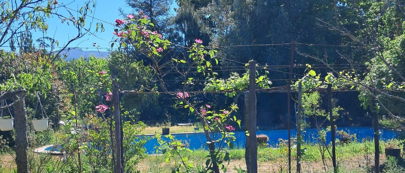 Quinta Agrícola Piscina